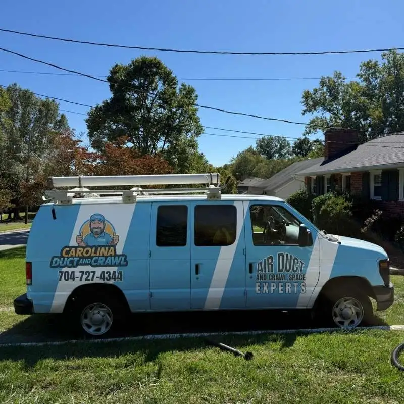 Professional Cleaner